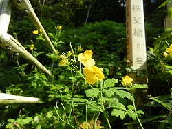 DSCN0664