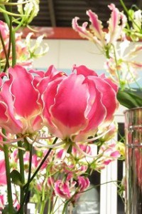 IMG_8045