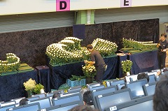 IMG_0243