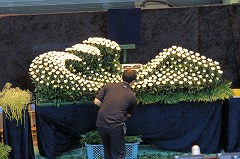 IMG_0248