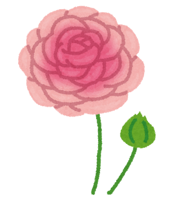 flower_ranunculus