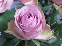 img_4410