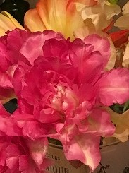 IMG_1711