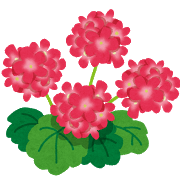 herb_geranium