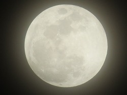 IMG_0313