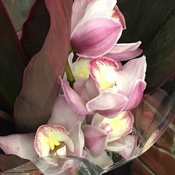 IMG_5787