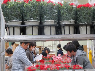 母の日出荷ピーク 株式会社大田花き花の生活研究所