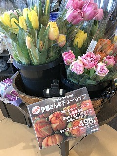 スーパー花売り場最前線 株式会社大田花き花の生活研究所