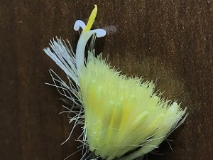 IMG_4326