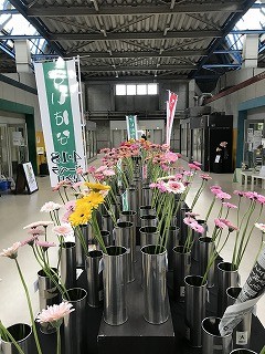 IMG_4427