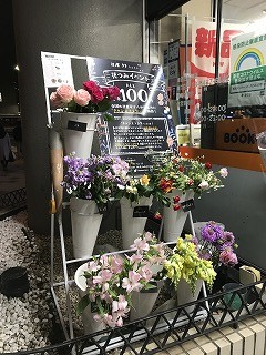 IMG_5489