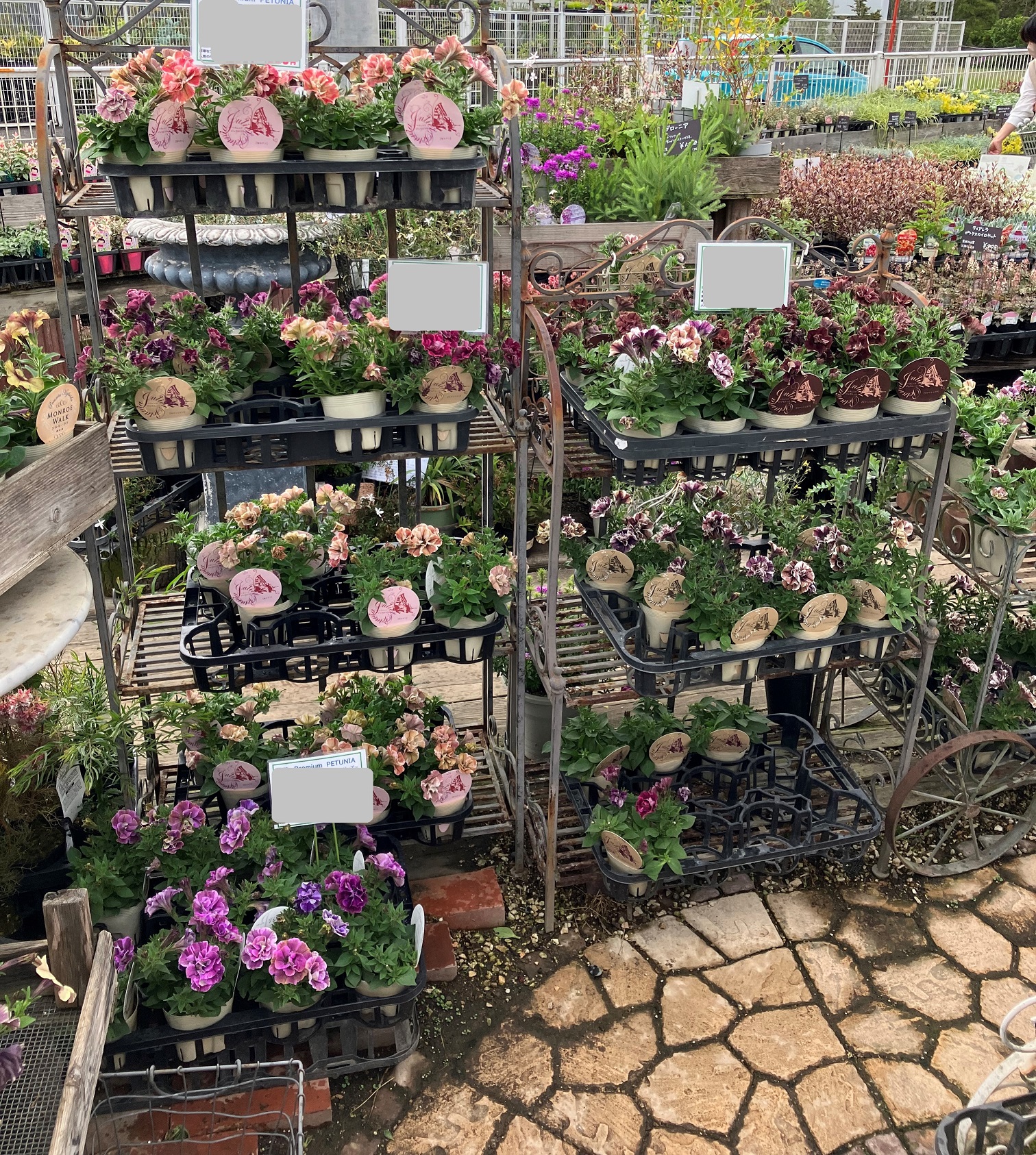とあるガーデンセンター