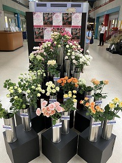 IMG_2860