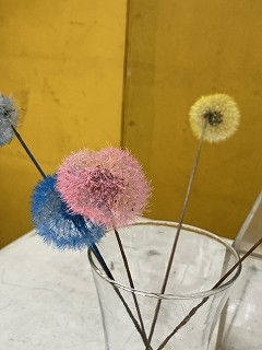 IMG_6077