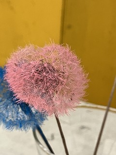 IMG_6078