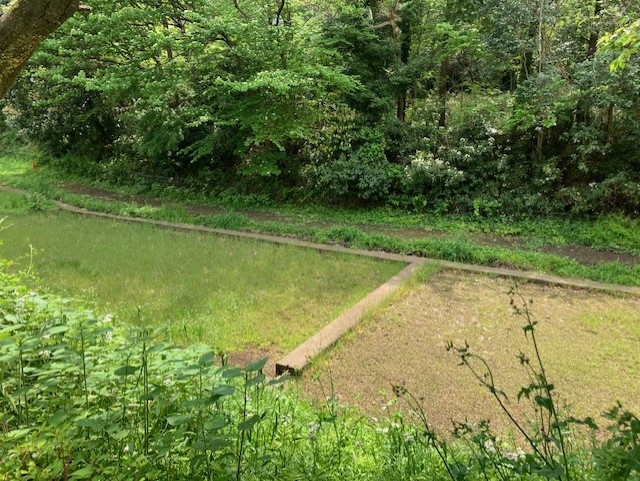 suiden1