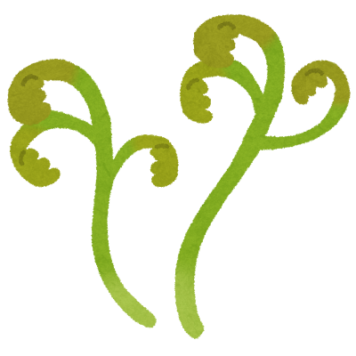 vegetable_warabi