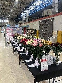 IMG_6260