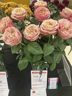 IMG_6261