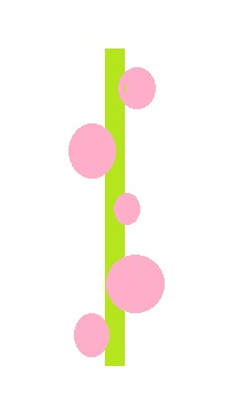 bomaru1