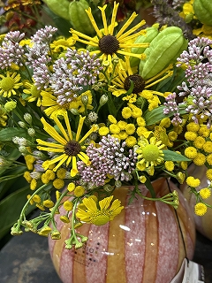 20250903六合村の草花