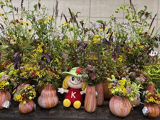 20250903六合村の草花5