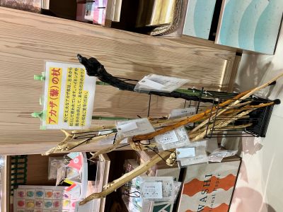 アカザの杖