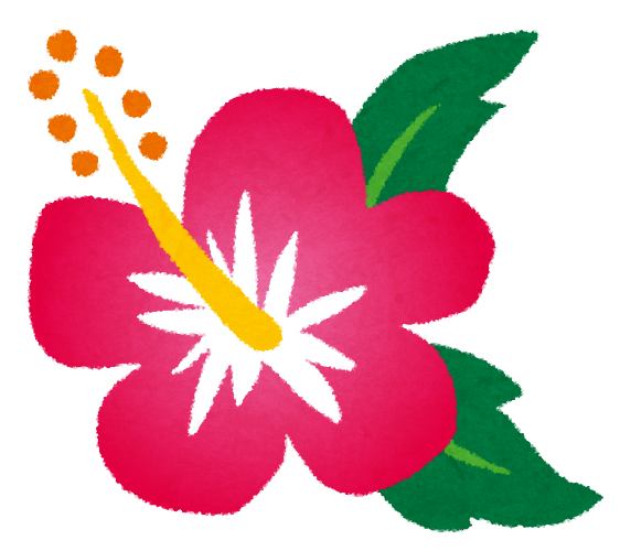 flower_hibiscus