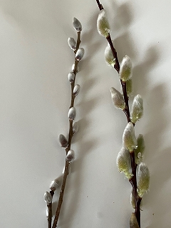 481554ee-2a13-4cc1-b91b-4c964aa5b040