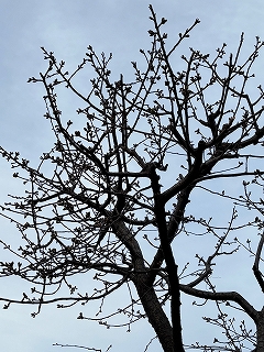 6ca2a583-4c28-4e70-8f86-aedc2bd8608b