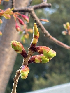 9848a369-d45b-4f0a-a175-91c3c8588dcc