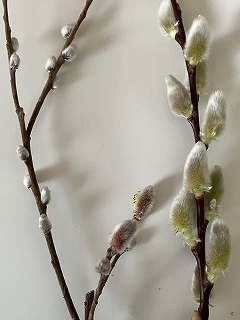 a2edabf5-66d3-4792-b478-d90ad04f1f39