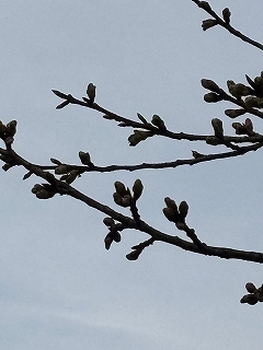 dd3a9ff4-d02b-4166-8059-8a581bf489dd