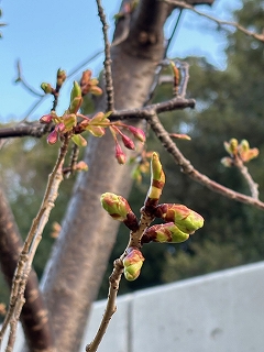 e303cf0d-38e2-4095-ae1c-17690075a630