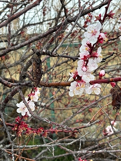 1523d44c-0992-4d99-940e-7c5ab196c4bd