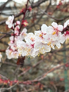 f0a293cd-576f-4c6f-9f6a-ea0d34711372