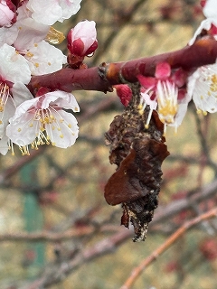 f39f4096-3eb9-45db-a97e-460d261eeae6