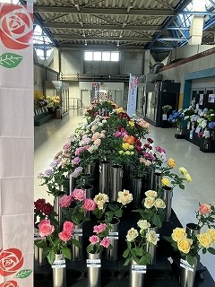 IMG_9321