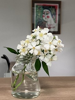 IMG_8968