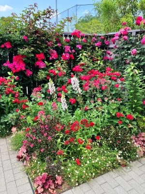 rosegarden01