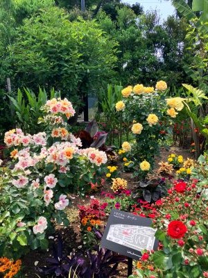 rosegarden03