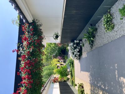 rosegarden04