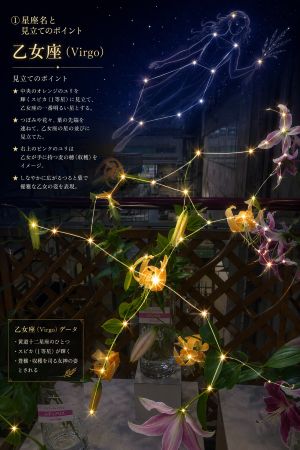 おとめ座