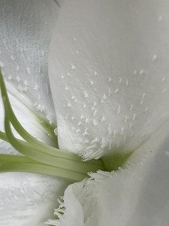 IMG_9640