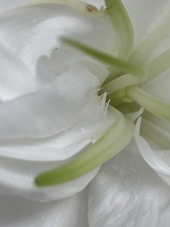 IMG_9643