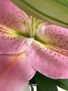 IMG_9659