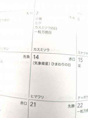 himawari