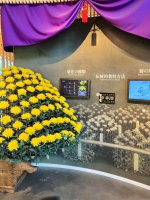 新宿御苑07