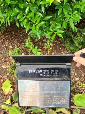 新宿御苑06