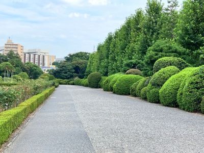 新宿御苑09